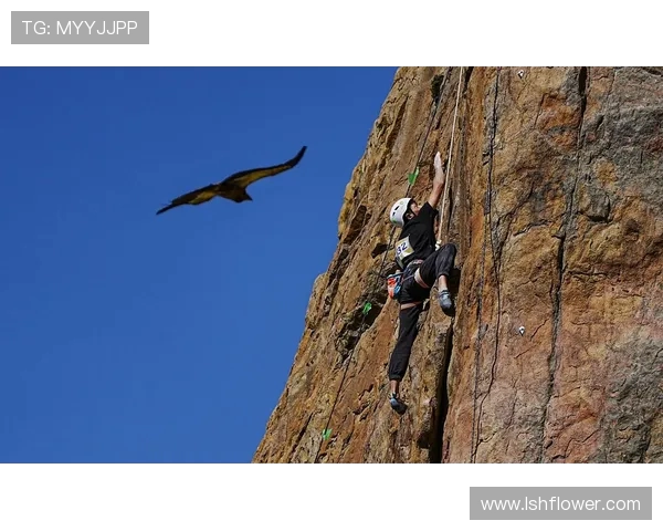 成都攀岩队实力分析与表现评估探讨