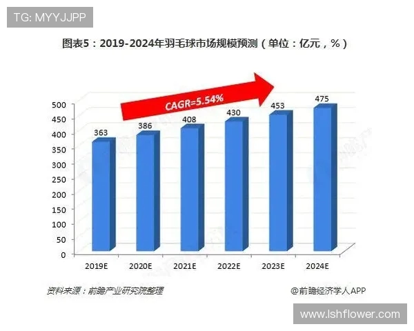 深圳羽毛球队技术表现深度数据分析与提升策略探讨 深圳羽毛球队技术表现深度数据分析与提升策略探讨