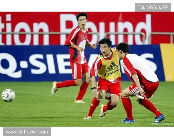 深圳足球队运营分析:成功经验与教训的深度剖析 深圳足球队运营分析:成功经验与教训的深度剖析