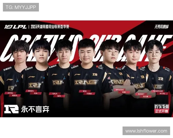 王者荣耀个人能力排行榜揭晓RNG战队排名第七引发热议