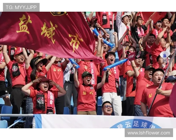 保定容大迎战盐城球队全力争胜展现足球魅力与激情对决 保定容大迎战盐城球队全力争胜展现足球魅力与激情对决