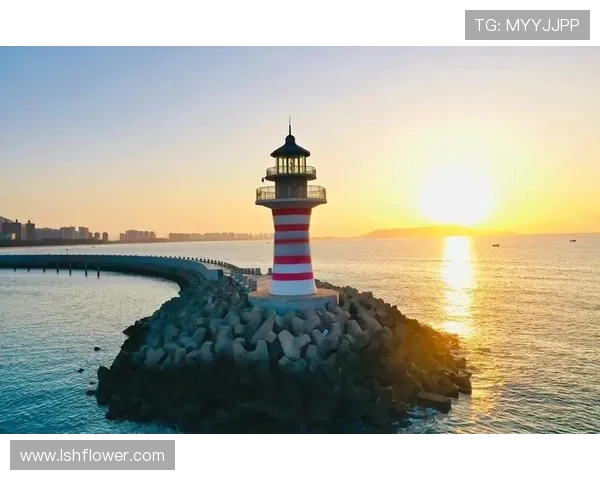 八月十二梦想与自由的交汇点探寻心灵的真实与渴望