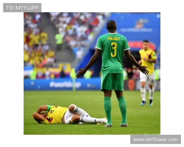 塞内加尔与哥伦比亚的激烈对决引发全球球迷热议与期待