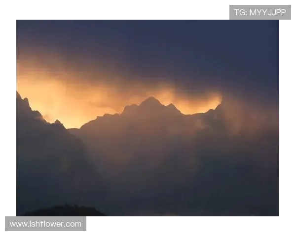 廖三宁：在音乐与人生交汇处的探索与坚持