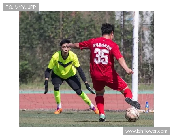 精彩回顾越南对阵马来西亚的比赛录像分析与精彩瞬间分享