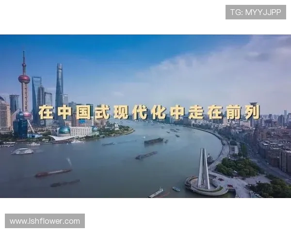 谢什科的传奇旅程与影响力探讨：从历史到现代的深度剖析