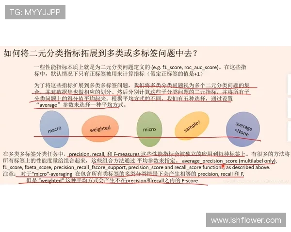 WE在Major赛中的比赛经验分析与表现评估 WE在Major赛中的比赛经验分析与表现评估