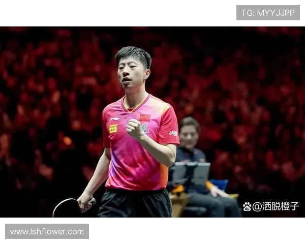 上海网球队以83分领跑大满贯积分榜展现强劲实力