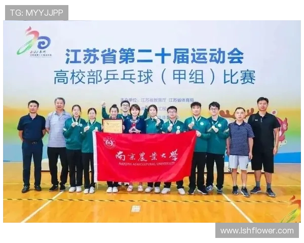 南京乒乓球队团队协作新模式引发热议与变革探讨