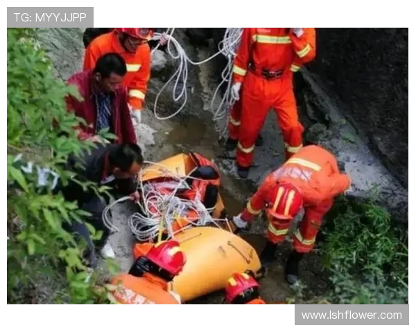 杭州极限运动队心理素质排名前十的最新研究揭示运动员成功的秘密
