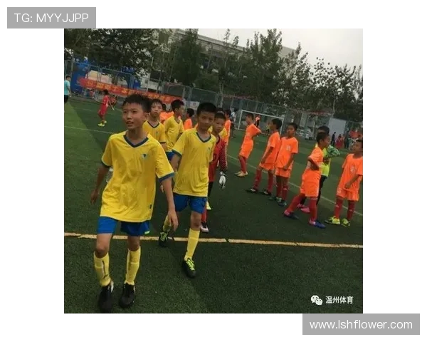 深圳足球队荣登足球比赛经验排行榜第三名引发热议
