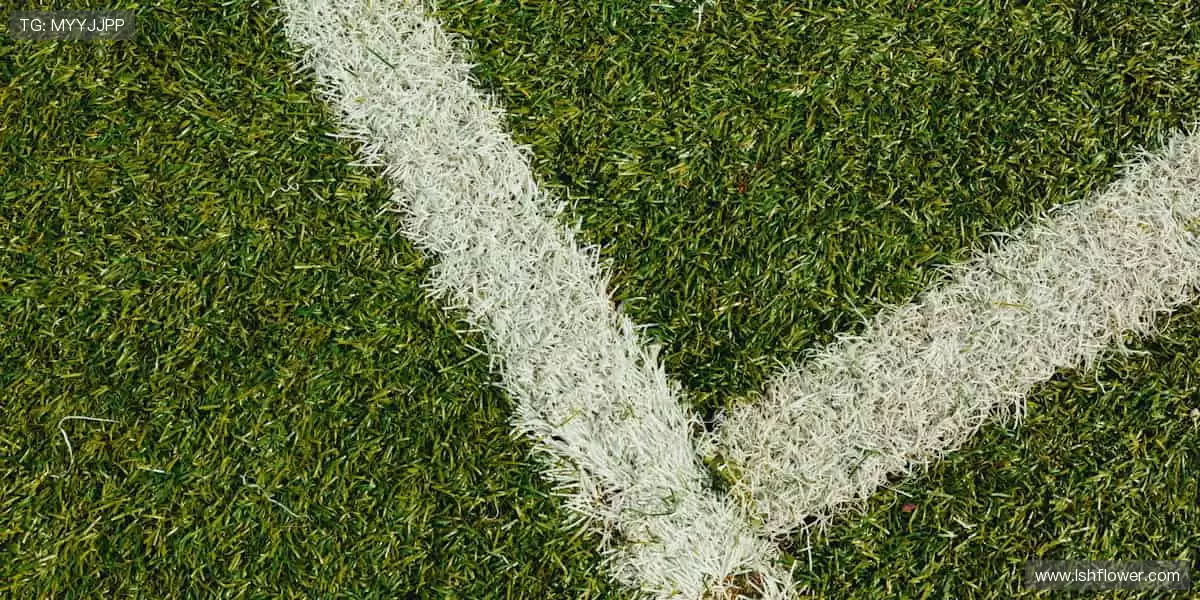 🏆见证荣耀时刻，热血永不落幕！🔥